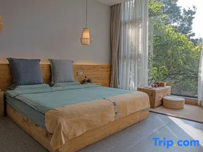Standard Single room with mountain view
