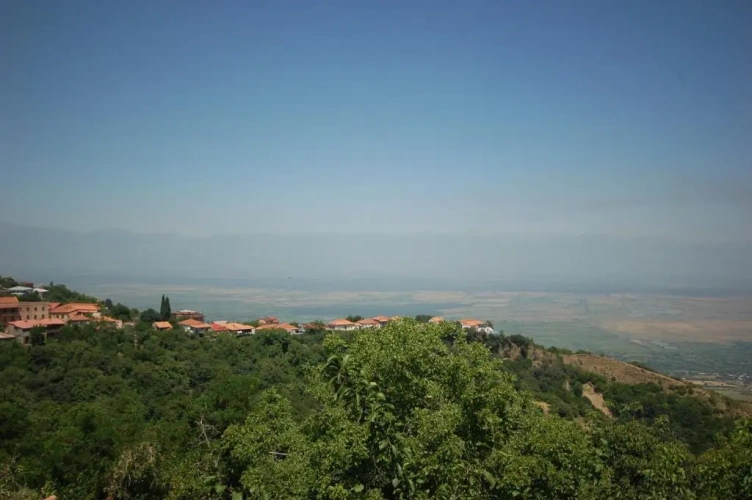Standard Double room with mountain view