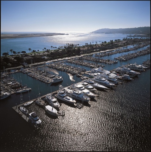 Best Western Plus Island Palms Hotel & Marina photo 31