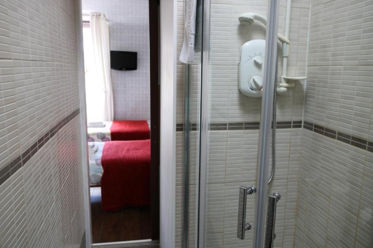 Standard Twin room with view