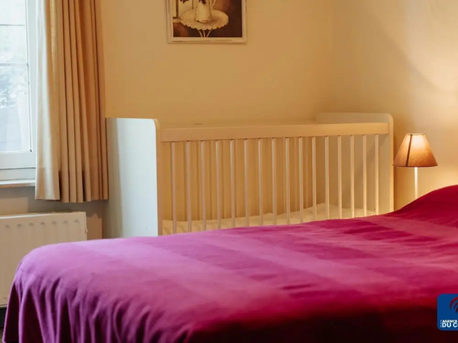 Pet-friendly Villa Retreat