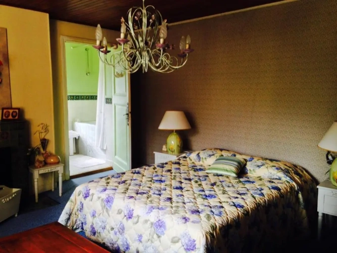 Standard Double room with garden view