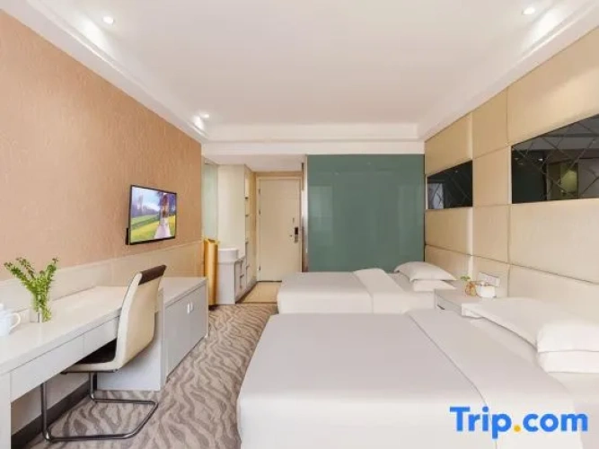 Standard Twin Family room