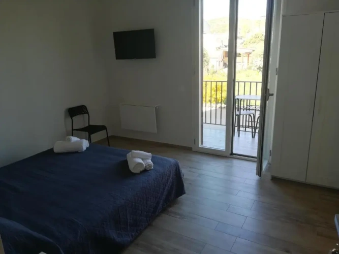 Standard Double room with garden view