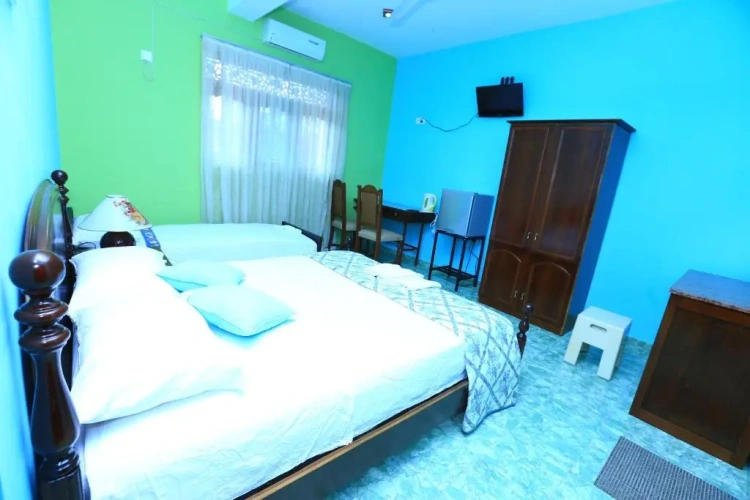 Luxury Triple room