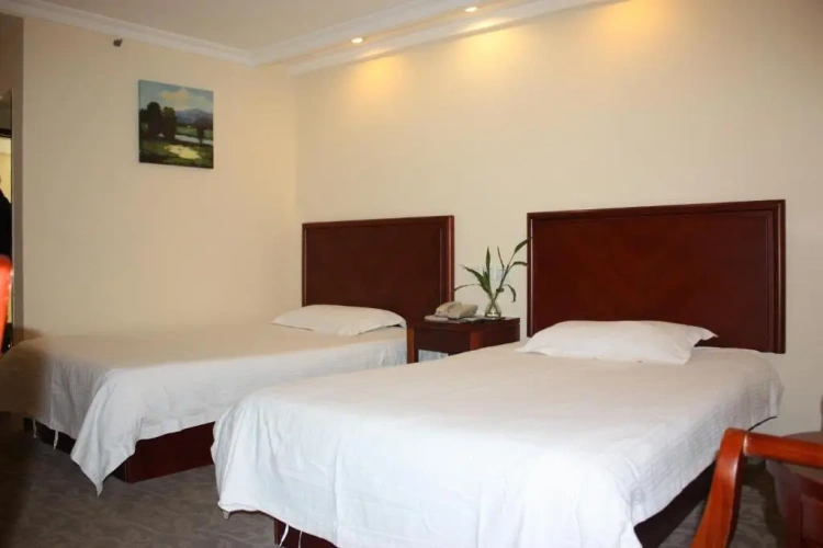 Business Twin room