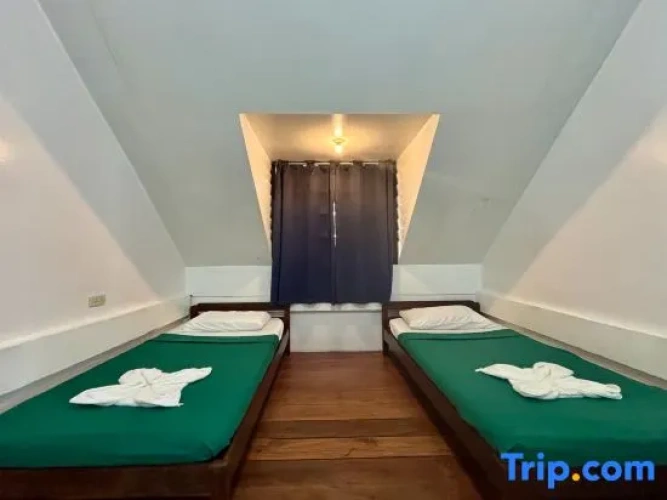 Standard Attic room
