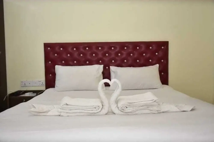 Deluxe Double room with balcony and with mountain view