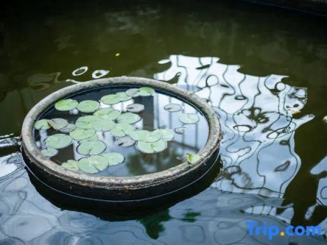 Shanghai Qichi Homestay - 上海