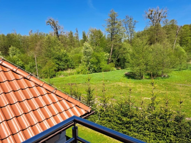 Standard Double room with view