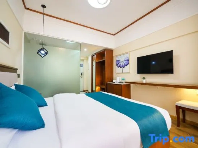 Comfort Double room with city view