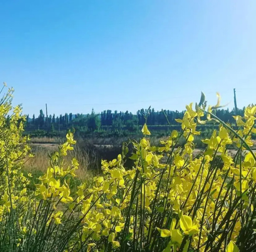 Terrunosdelvalle