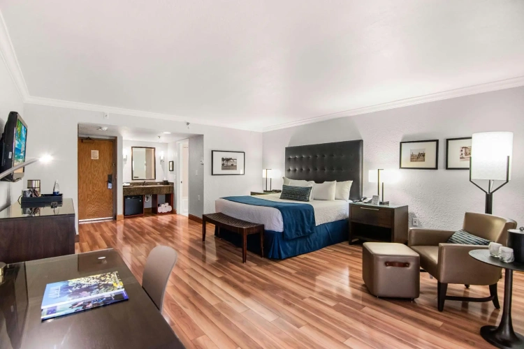 Double Junior Suite with balcony and with view
