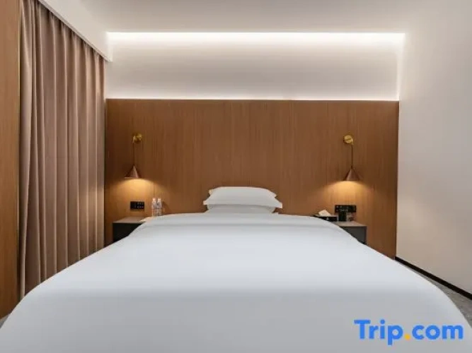 Standard Twin Family room