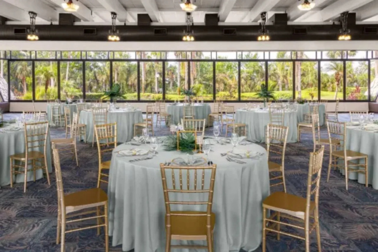 Saddlebrook Resort Tampa photo 32