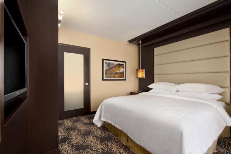 Embassy Suites by Hilton Knoxville West photo 10
