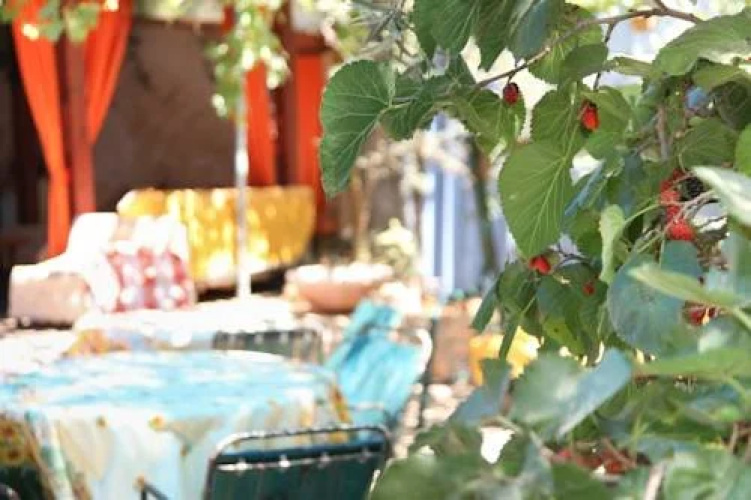 Galila Guest - House