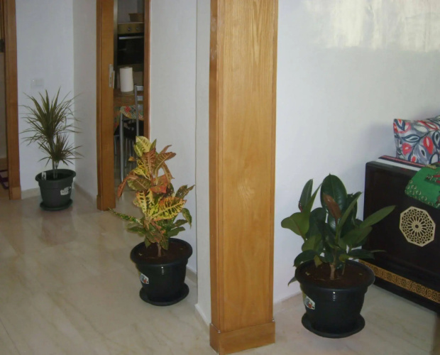 Oasis Square Apartment