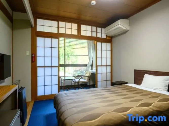 Standard Single room with mountain view