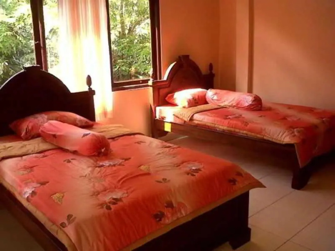 Citrus Tree Rooms - Arik