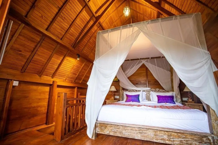 The Jungle Villa