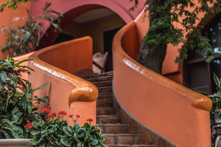 Imagen de Collection O Casa Bella Hotel Boutique, Cabo San Lucas