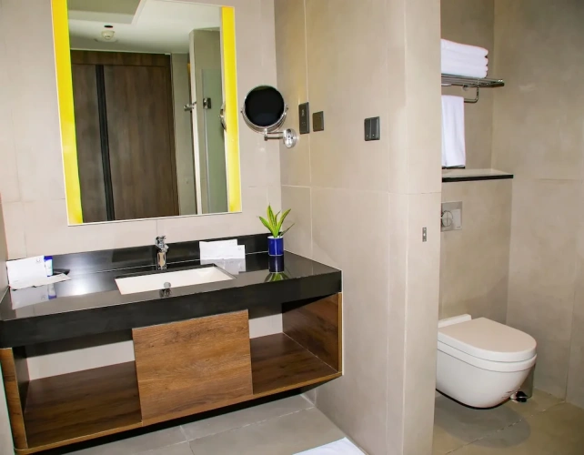 Deluxe Double room with city view
