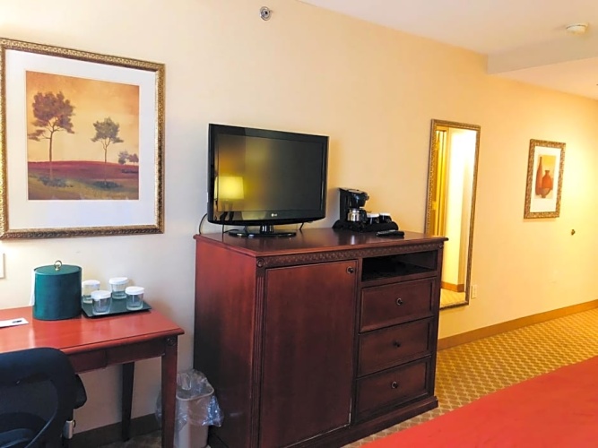 1 Bedroom Double Suite