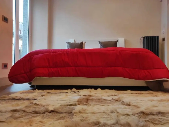 Comfort Apartment