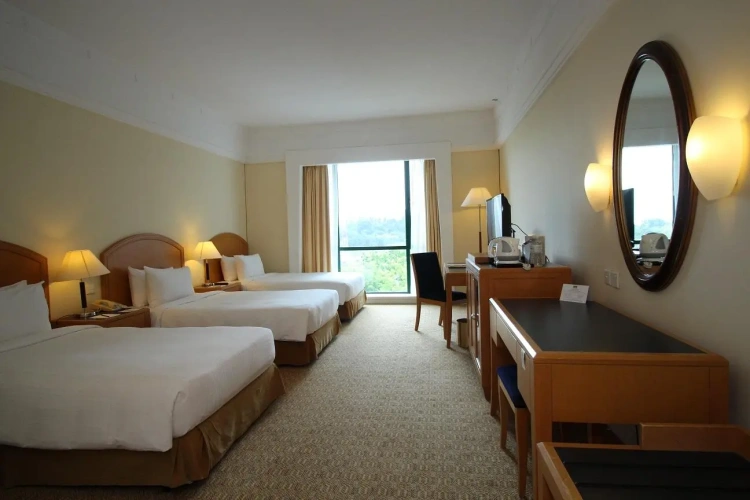 Deluxe Triple room