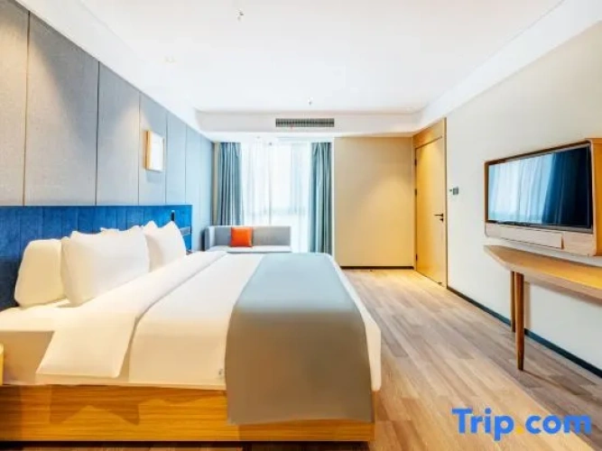 Single Suite