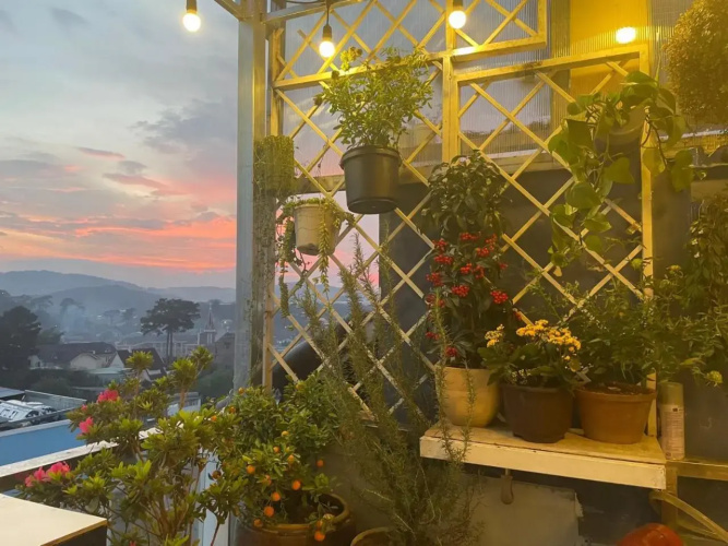 Sau Moon House