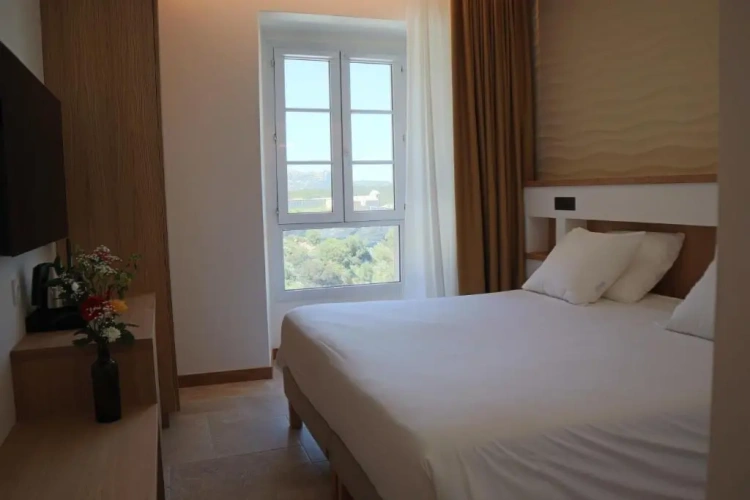 Standard Double room with panoramic view