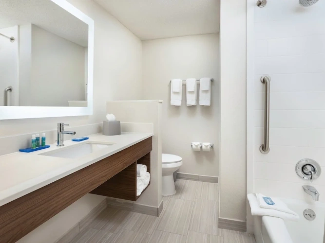 1 Bedroom Suite