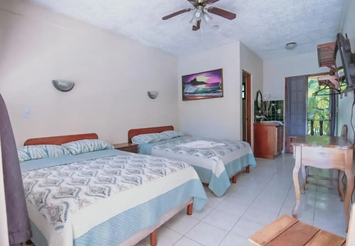 Standard room with balcony and with view