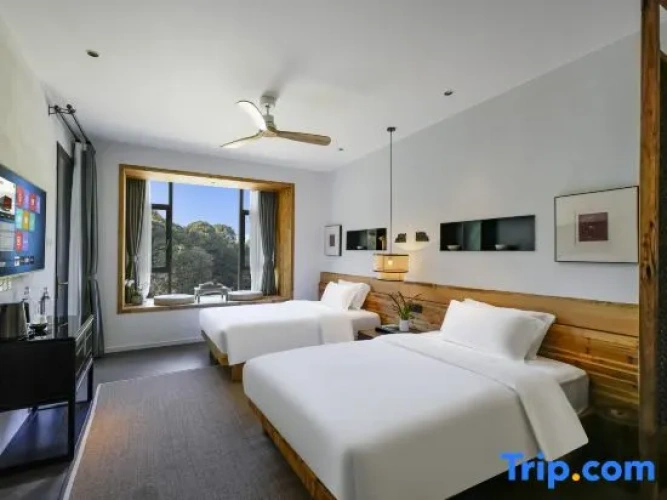 Double Suite with mountain view