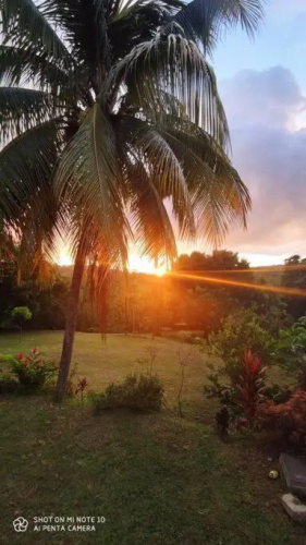 Villa tropicale charmant T2 dans un cadre verdoyant