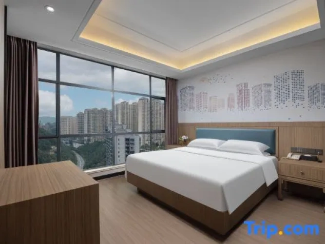 Comfort Suite