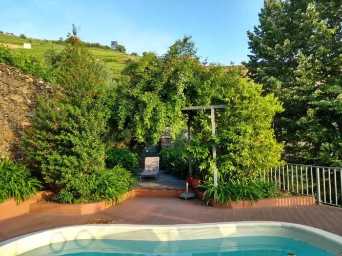 Standard Double room with mountain view