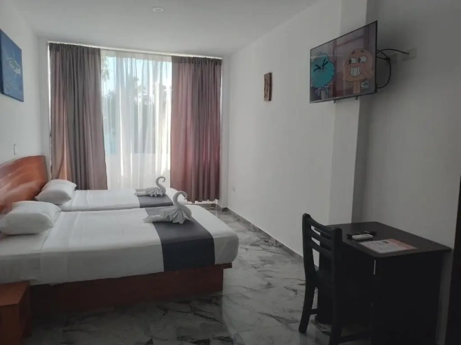 1 Bedroom Apartment