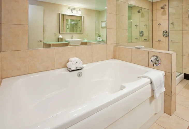 1 Bedroom Suite
