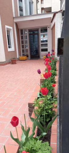 Hotel Peja