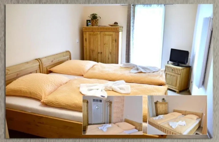 Standard Single room with garden view