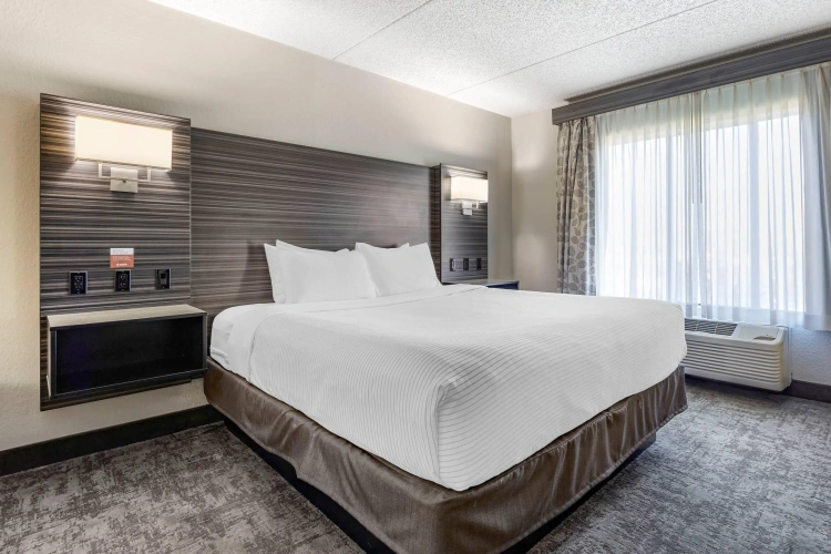 Standard Double room