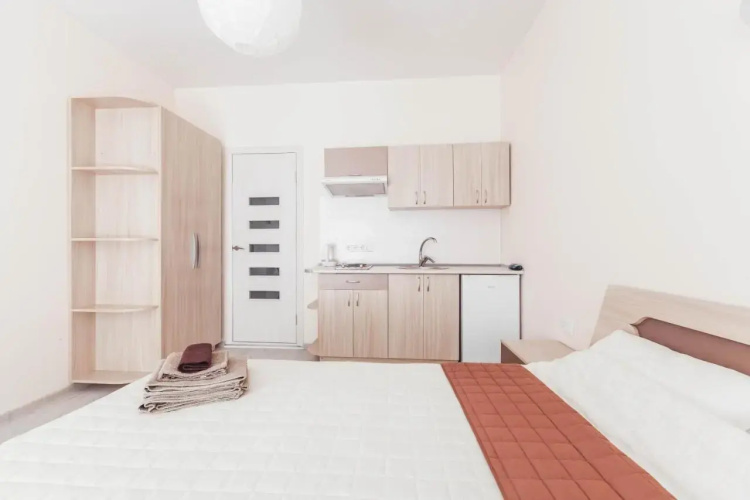 Deribasovskaya apartment