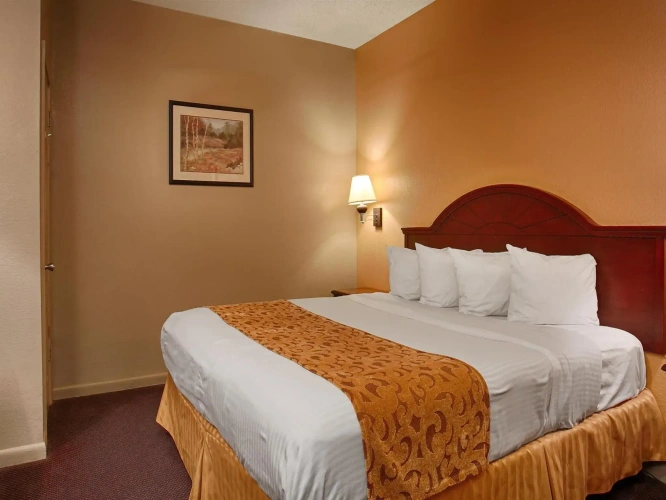Single Suite