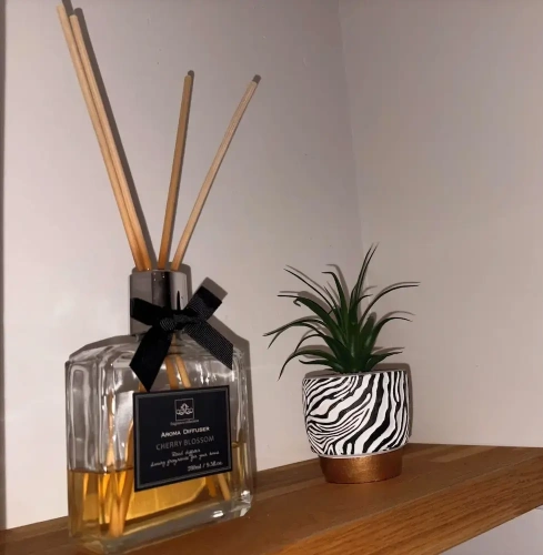 Premier Apartment