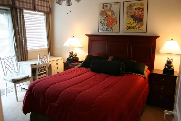 Georgia Gameday CenterOver view