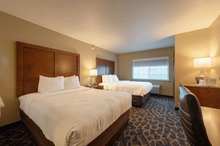 Quadruple Suite