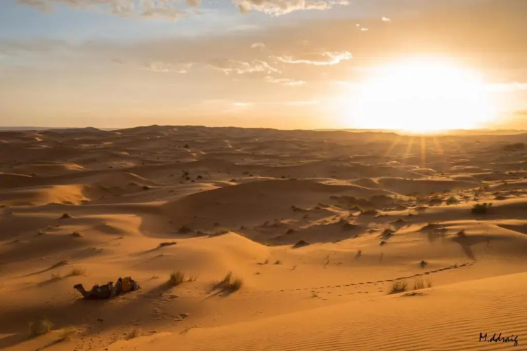 Desert Luxury Camp